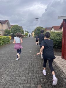 IMG 4953