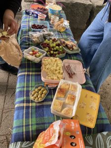 Homepage Di Picknick